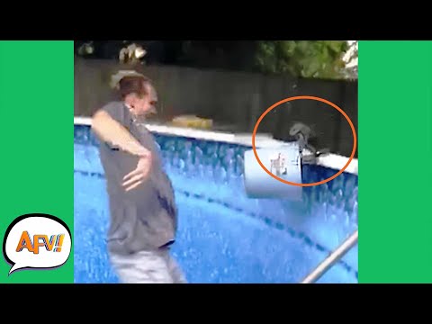 Squirrel RESCUE Turned ATTACK! 😂 | Funniest Animals | AFV 2021