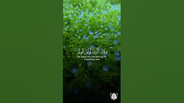 #تلاوة من #سورة_القصص بصوت #هاني_الرفاعي #قران #قرآن_كريم #آيات #استغفرالله #الحمدلله #quran