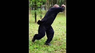 What kind of Kung Fu is this?