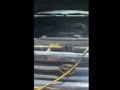 1995 Toyota 4Runner mud truck