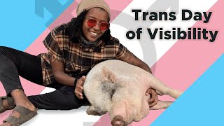 Are Trans Rights and Veganism Connected?