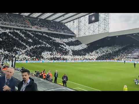 Wor Flags display,