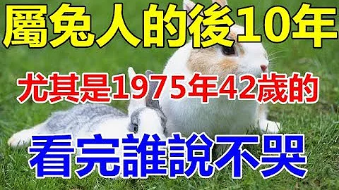 屬兔人的後10年:尤其是1975年42歲的，看完誰說不哭? - 天天要聞