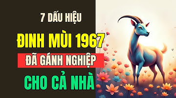 Phúc Báo Hậu Vận Tuổi Đinh Mùi 1967 Phật Chỉ Rõ 7 Dấu Hiệu Nửa đời trước gánh nghiệp cho cả gia đình