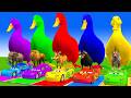Long Slide Game With Cow Elephant Gorilla Hippopotamus Tiger 3d Animal Game live 492