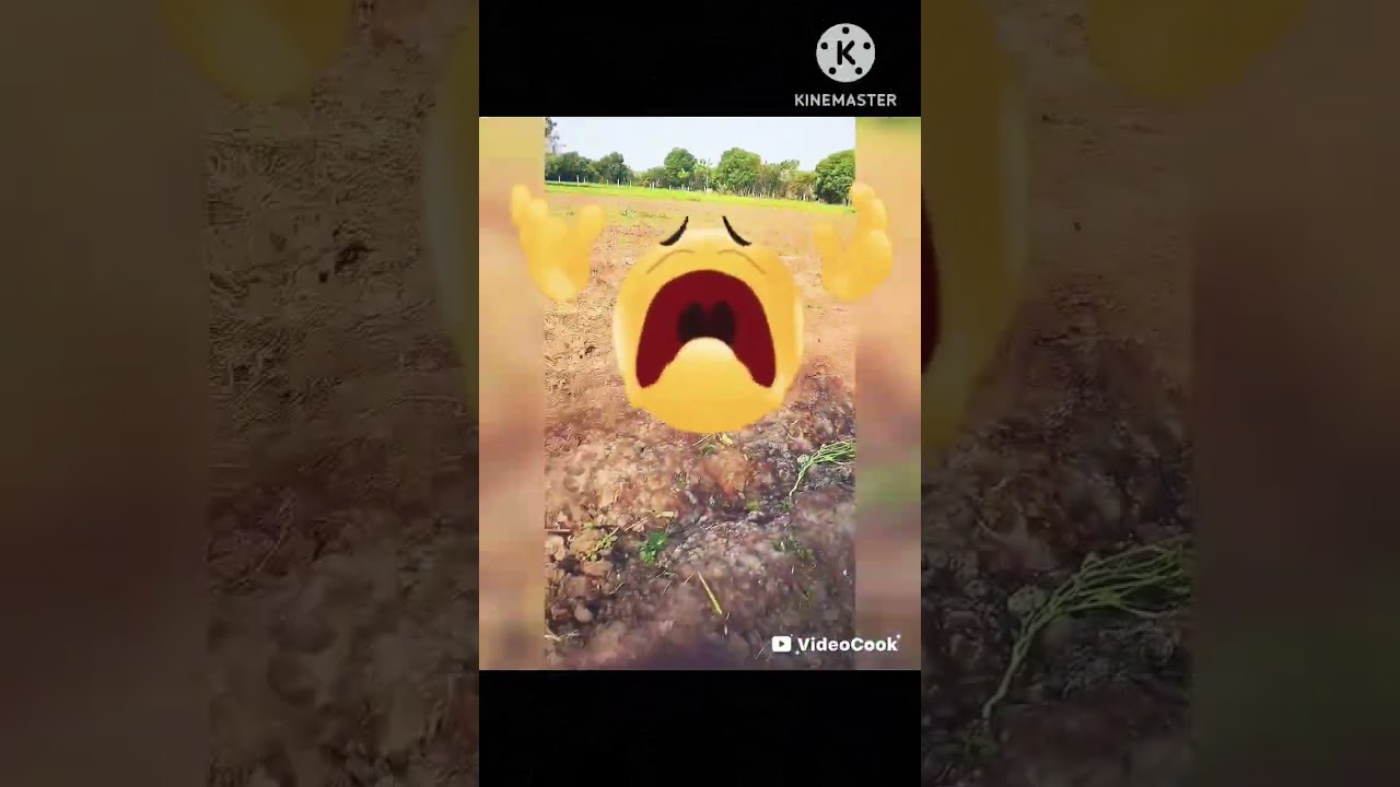 MRO Saibo song new editing app_