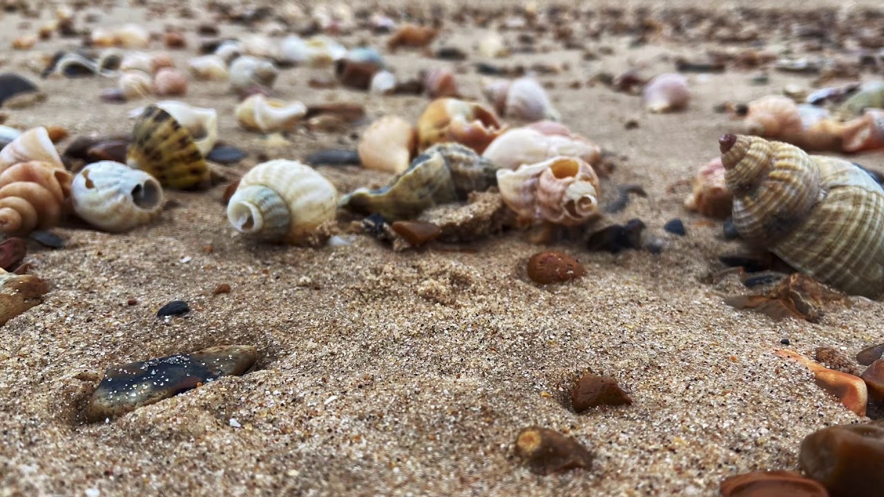 Beautiful Essex,Brightlingsea