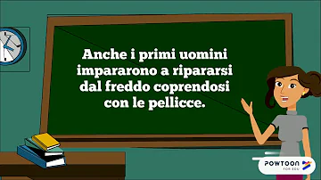 Come è divisa l'era quaternaria?