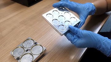 Maximize your sample analysis efficiency with the Phenom XL Desktop SEM