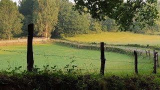 Joseph Breen's El Camino de Santiago 2017 Slideshow MPEG2