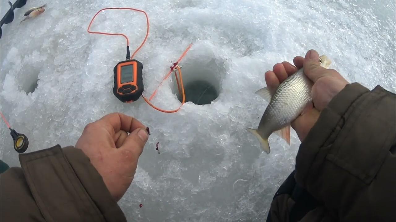 Ловля со льда видео. Зимняя рыбалка на Обском в марте месяце.