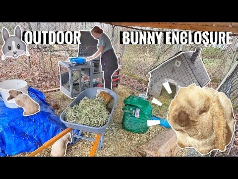 Video: Volný outdoorový králík | Udržet zajíček z klece