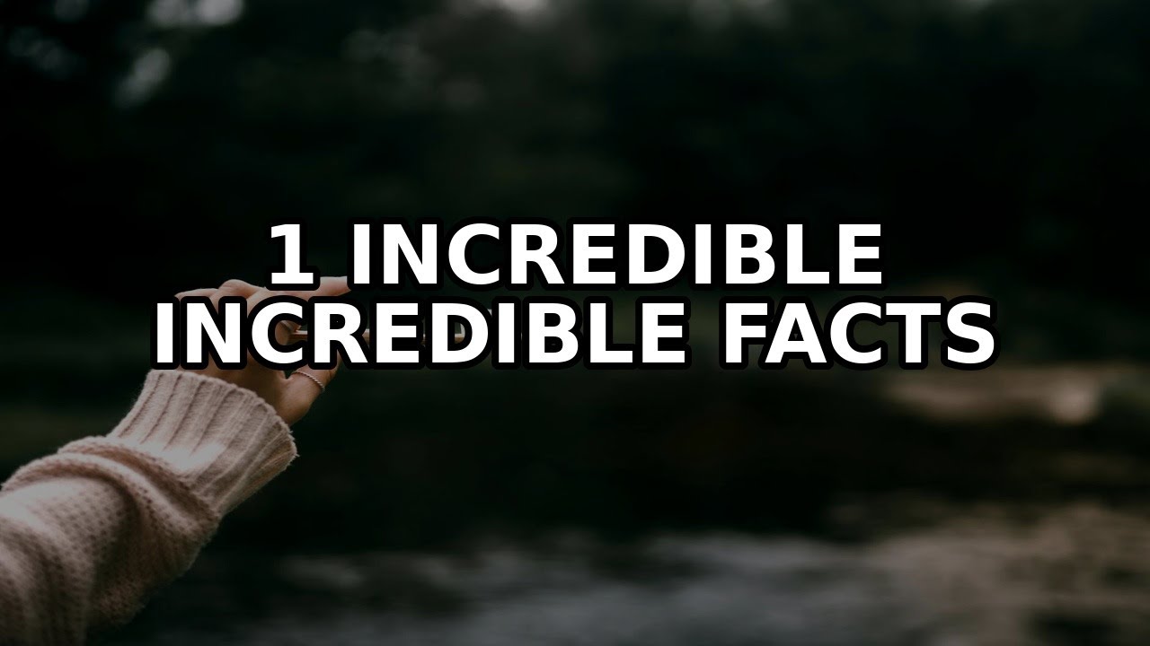 1 Incredible Facts About Sustainable living tips and green habits