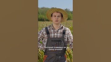 ⚡️VP БЫКАНУЛИ НА ТНИРА! #csnews #csgo #kyousuke #s1mple #cs2 #ксго #donk #teamspirit #m0nesy