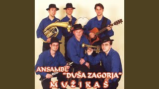 Oprosti Zagorje