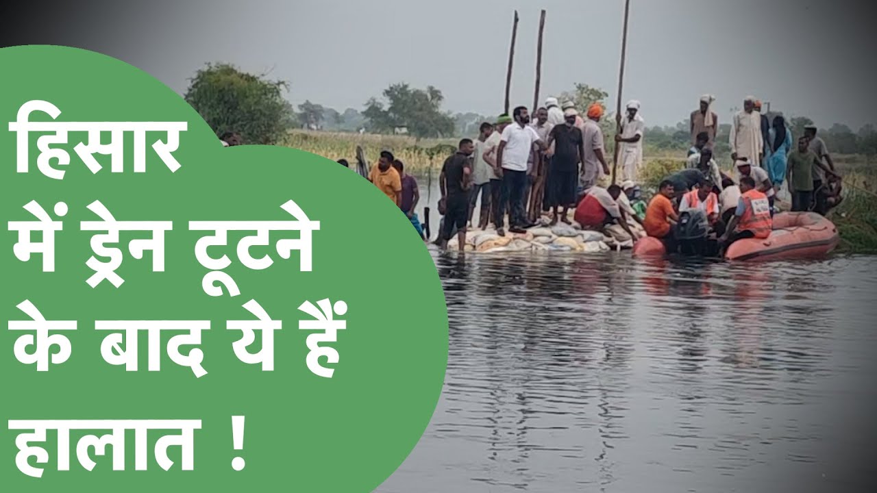 Flood Alert : Hisar में टूटा ड्रेन, ग्राउंड रिपोर्ट में देखिए क्या हैं हालात ! | Haryana Tak