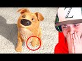 World’s *SADDEST* Animations! (You WILL Cry)