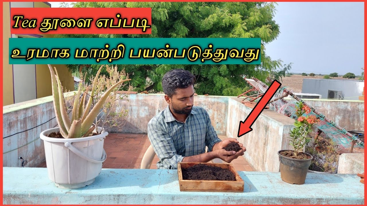 டீ தூளை செடிகளுக்கு கொடுக்குறிங்களா உடனே நிறுத்துங்க | Tea compost 