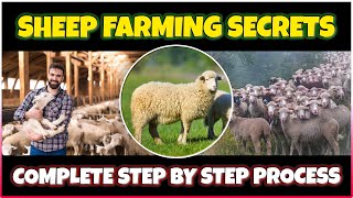 Sheep Farming: A Comprehensive Guide to Raising Sheep for Meat, Wool, and Milk