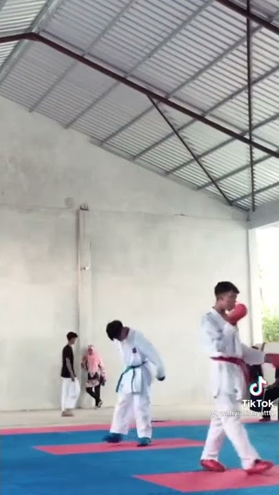 Story Anak Karate