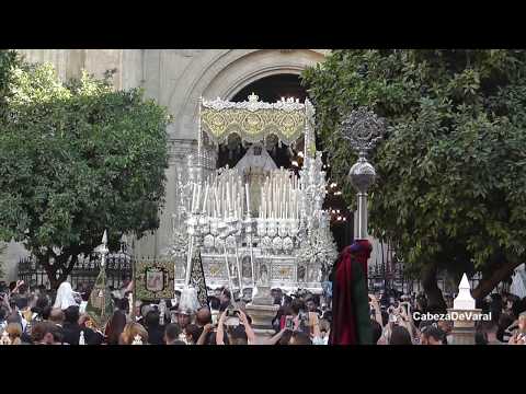 Real, Ilustre y Venerable Hermandad Sacramental de Nuestro Padre Jesús Nazareno de los Pasos en el Monte Calvario y María Santísima del Rocío Coronada