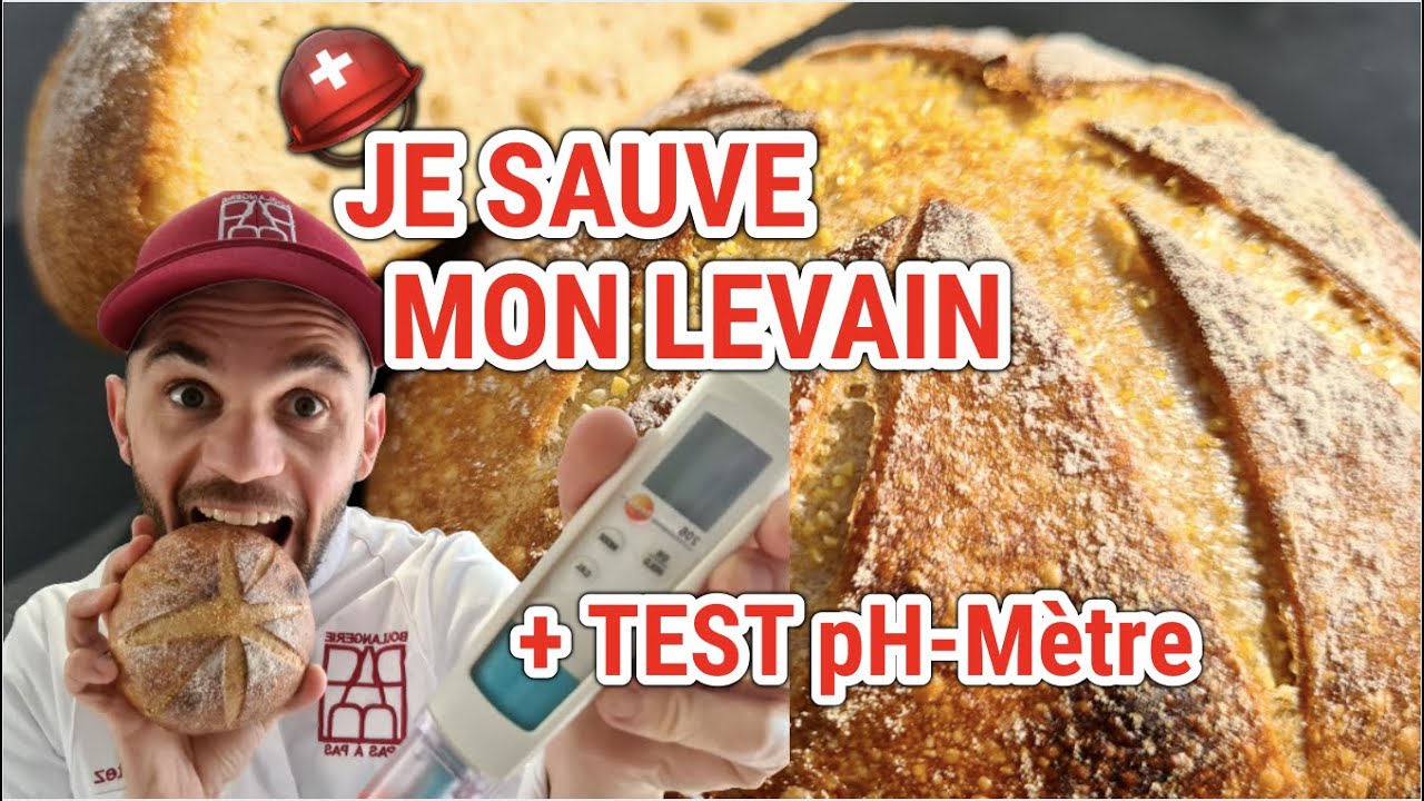 Je Sauve mon LEVAIN ! +test pH-mètre pour levain