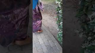 Download Lagu Menara Pandang Jauh MP3