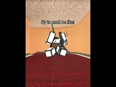 Pov : fly’s