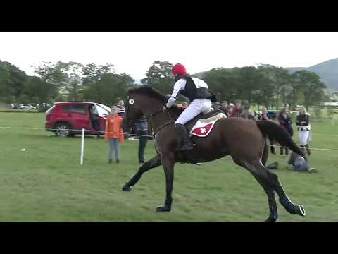 Grandeur de Lully - Championnats d'Europe concours complet YR 2017 - CCI** - Cross