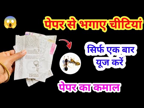 ना केमिकल ना दवाई घरेलू तरीके से भगाए चीटियां ? kitchen tips / kabad se jugad / get rid of Ant ?
