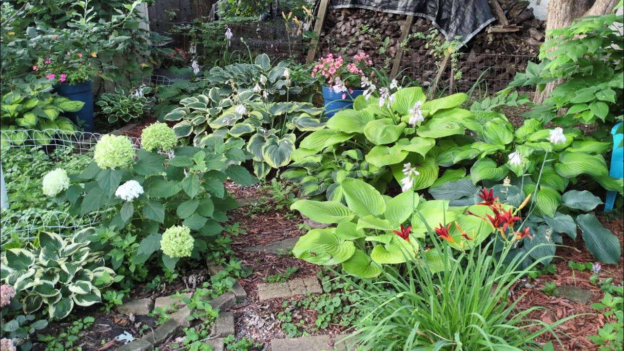 Garden Tour After a large summer storm