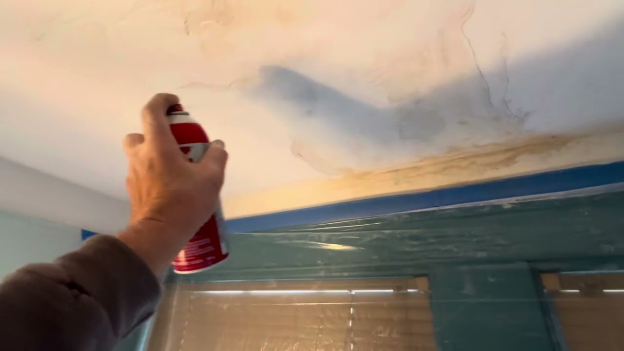 Plaster repair peeling paint water damage | Sophisticated Solutions for Bubbled Plaster Water Damage