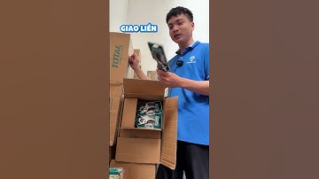 Kéo cắt cành cây Total - KingBlue kích thước 200mm, Có Khóa an toàn Kéo tỉa cành, bấm cành 12mm