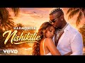 Harmonize Nishikilie Official Lyrics Music Video 2026