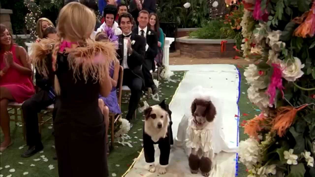 Dog With A Blog Stan S Weddings You