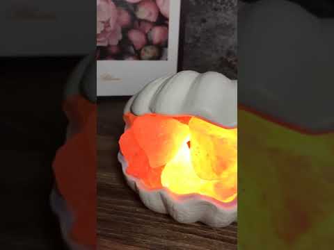 Scallop Salt Crystal