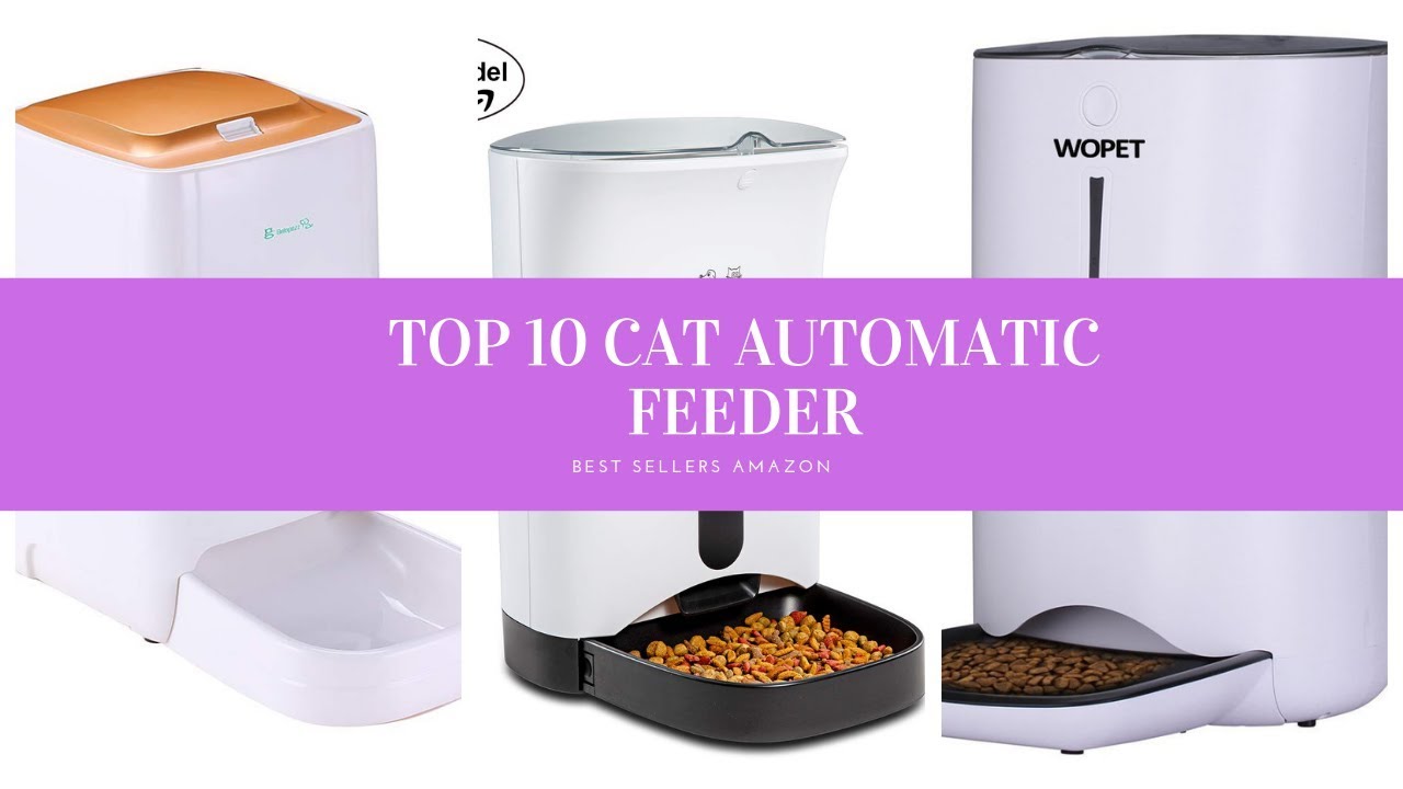 ️ TOP 10 BEST CAT AUTOMATIC FEEDER 🛒 Amazon 2019 YouTube