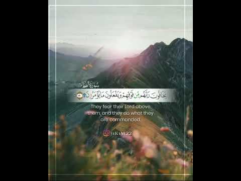 ي خ اف ون ر ب ه م م ن ف و ق ه م و ي ف ع ل ون م ا ي ؤ م ر ون بصوت الشيخ محمد اللحيدان