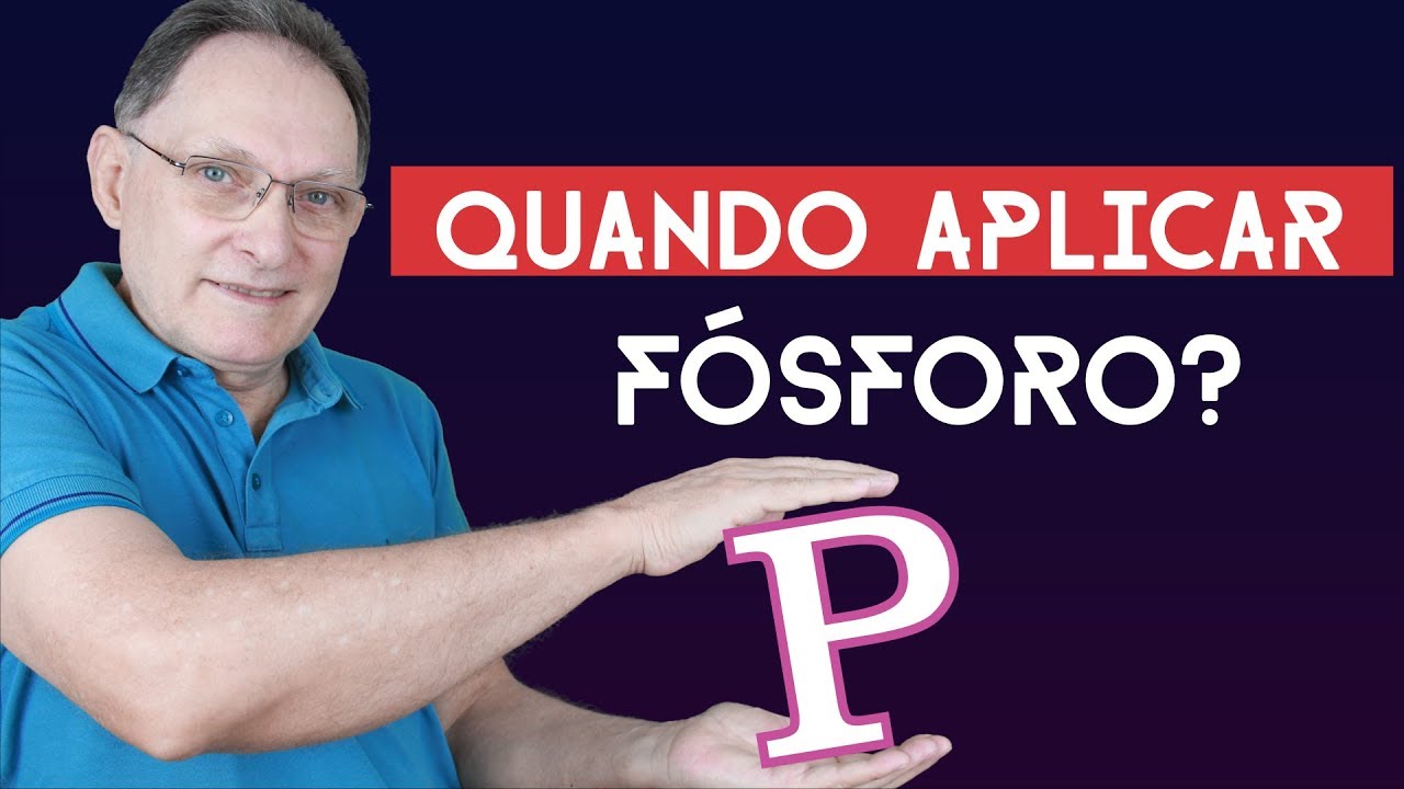 Quando devo corrigir o fósforo? Veja as formas de aumentar os níveis de fósforo do solo.