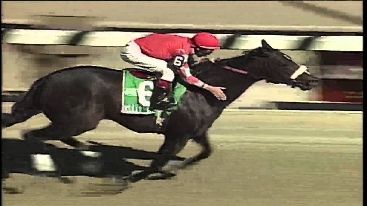 Pictures Of Bold Ruler at Stacy Fye blog