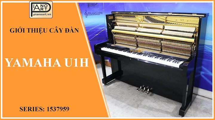 Yamaha U1H là sự lựa chọn hoàn hảo cho cả người chơi chuyên nghiệp và người mới bắt đầu -  1537959