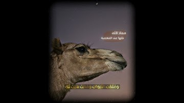 وَرَاوَدَتْهُ الَّتِي هُوَ فِي بَيْتِهَا عَن نَّفْسِهِ وَغَلَّقَتِ الْأَبْوَابَ تلاوة من سورة يوسف