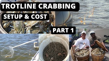 Trotline Crabbing In Maryland Trotline Setup and Cost Part 1