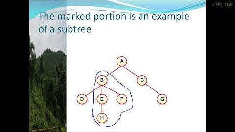 Data structure using c++ part4