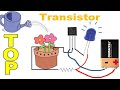 TOP 5 Proyectos Electrónicos con Transistores