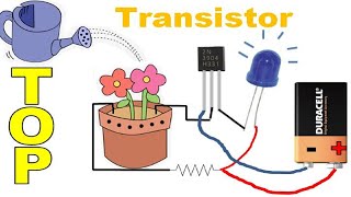 TOP 5 Proyectos Electrónicos con Transistores