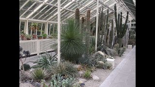 Join us on a FUN visit to The National Botanic Gardens of Ireland Join us on a FUN visit to The National Botanic Gardens of Ireland