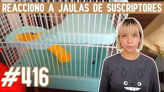 REACCIONO a JAULAS para HAMSTER de SUSCRIPTORES by Pequeños Roedores 630 views 1 month ago 15 minutes