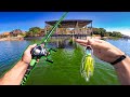 URBAN Fall Bass Fishing Heavily POLLUTED Texas Lake!