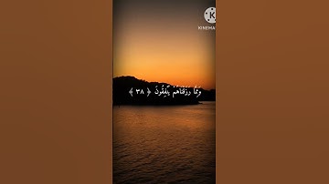 راحة نفسية مع قرآن الكريم/ سورة الشورى - عبدالرحمن الماجد